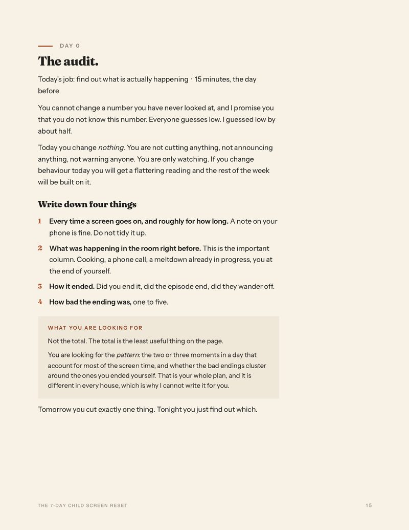 Day 0 of the plan, The audit, explaining what to write down before changing anything
